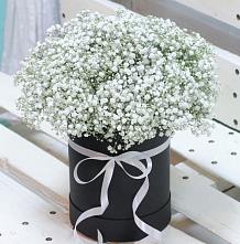Цветочная композиция из Гипсофила в шляпной коробке #REPLACE_PRED# Черемухово